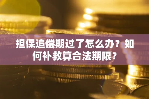 济南担保追偿期过了怎么办？如何补救算合法期限？