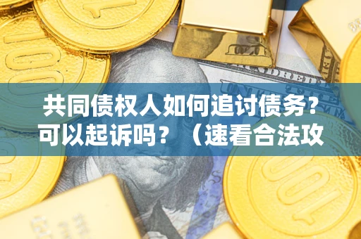 济南共同债权人如何追讨债务？可以起诉吗？（速看合法攻略）