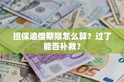 济南担保追偿期限怎么算？过了能否补救？